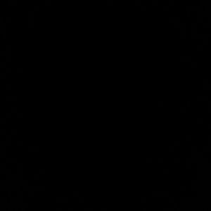 Meet your Posher, Mercedes